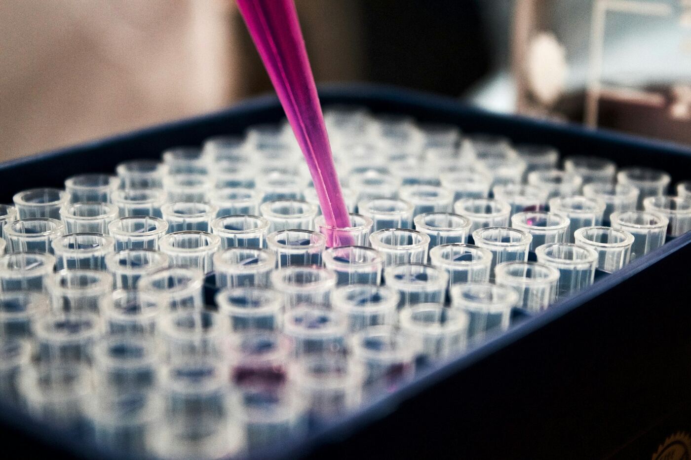 Microscopic view